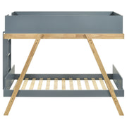 Frankie Bunk Bed - Barb City Furniture (Dekalb, IL)
