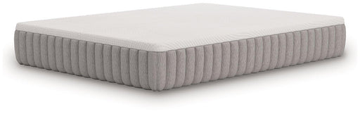 Terra Sleep Firm Mattress - Barb City Furniture (Dekalb, IL)