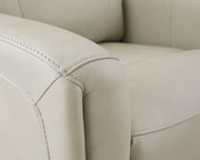 Pincara Power AutoGlide Recliner - Barb City Furniture (Dekalb, IL)