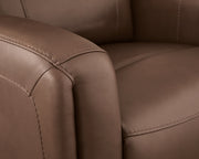 Pincara Power AutoGlide Recliner - Barb City Furniture (Dekalb, IL)